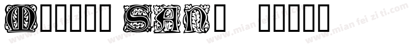 Morris Sans字体转换